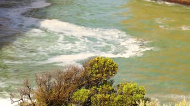 Okyanus dalgaları parlak güneş ışığı altında yemyeşil yemyeşil ile çevrili kayalık kıyıya hafifçe çarpar.