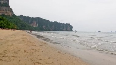 Dalgaları ve uzak uçurumları olan huzurlu bir sahil.