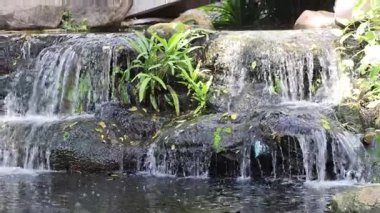 Yosunlu kayaların üzerinde sakin bir şelale.