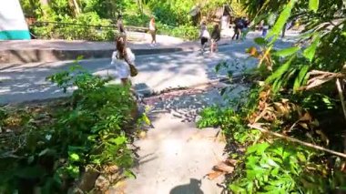 Zengin hayvanat bahçesi yollarında yürüyen ziyaretçiler