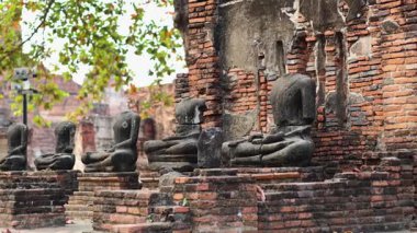Tarihi Ayutthaya tapınağında Buda heykelleri