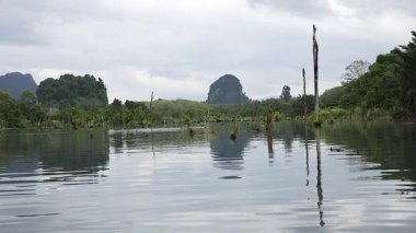 Yeşillik ve dağlarla dolu huzurlu bir su yolu.