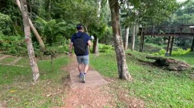 Bir adam yemyeşil bir orman yolunda yürüyor.