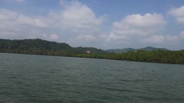 Orman tepeli sakin bir göl manzarası.