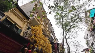 Dükkanlar ve fenerlerle dolu bir cadde.