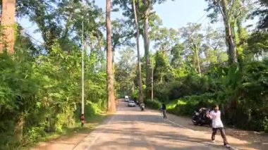 Manzaralı bir orman yolunda araçlar ve yayalar