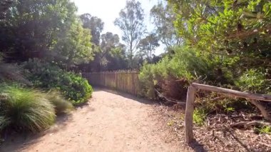 Scenic walk through lush zoo pathways