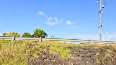 A serene drive showcasing lush greenery and clear skies along the Great Ocean Road in Melbourne, Australia
