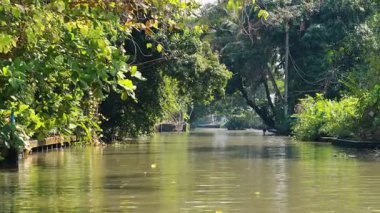 Bangkok, Tayland 'da sakin bir kanal sahnesi yemyeşil ve sakin suları doğal gün ışığı altında sergiliyor.