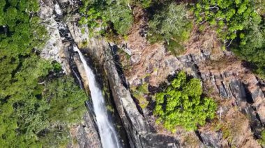 İnsansız hava aracı, parlak doğal ışık altında Avustralya 'nın Port Douglas kentindeki yoğun yeşillikte şelaleyi yakalıyor.