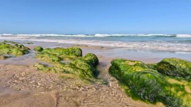 Ocean waves hitting moss-covered rocks on the beach