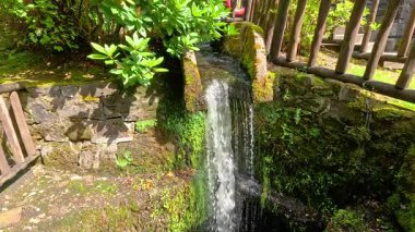 Yosunlu taş duvarın üzerinden akan küçük şelale.