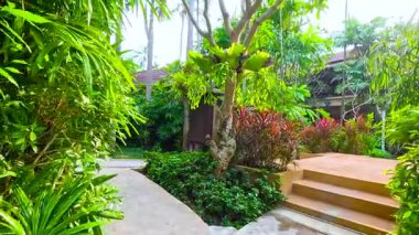 Tropikal bir çevrede sakin bir bahçe keşfetmek.