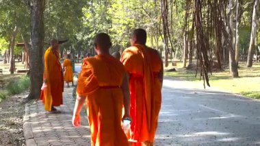 Keşişler huzur içinde huzurlu bir parkta geziniyor.