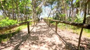 Huzurlu, ağaçlık patika boyunca ilerleme