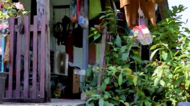 Çiçekler açan renkli bir bahçe ve Tayland yüzen bir pazarda süslenmiş canlı bitki örtüsü ve kültürel cazibe sergileniyor.
