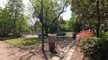 Fotoğrafçı Milano parkında görüntüler yakalıyor
