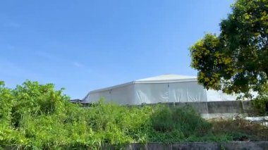 Yeşillik ve kanal kenarındaki yapılar yemyeşil