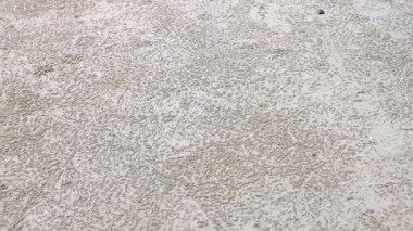 Kumlu sahil dokusunun yakın görüntüsü