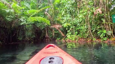 Krabi 'nin yemyeşil su yollarında kano yolculuğu