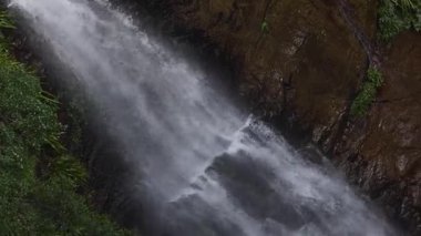 Yağmur ormanlarında çağlayan şelale.