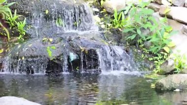 Berrak bir bahçede akan sakin bir şelale.