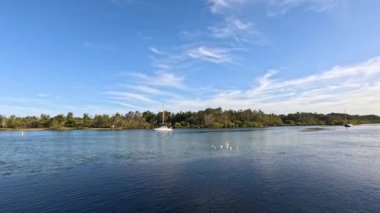 Martılar dingin bir gölün üzerinde uçuyor.