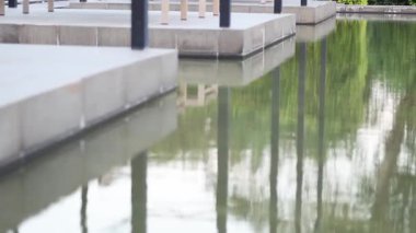 Yansıyan ağaçlar ve gökyüzü ile sakin gölet