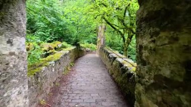 Bereketli bir yeşilliğin içinde huzurlu bir yürüyüş