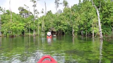Kayakçılar yemyeşil, sakin Krabi Kanalı 'nda gezinirler.