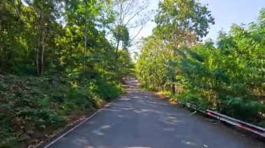 Khao Kheow Açık Hayvanat Bahçesi, Chonburi, Tayland 'daki yemyeşil alanda huzurlu bir yolculuk. Güneşli yollar ve canlı yapraklar sakin bir atmosfer yaratır.