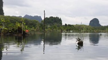 Bereketli yeşilliklerle çevrili sakin bir su yolu