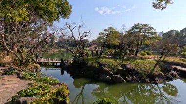 Suyu, ağaçları ve köprüsü olan huzurlu bir manzara.