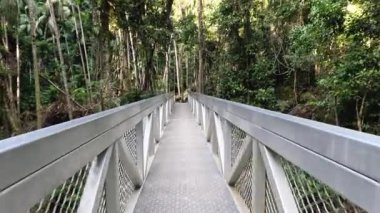 Yoğun orman manzarası boyunca köprü yolu