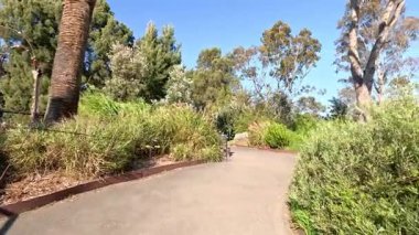 Yeşillik ve ağaçların arasında bir yürüyüş