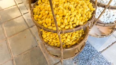 İpek üretimi için sepetlerdeki ipek kozalar