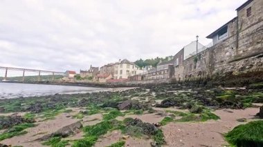 Deniz yosunlu ve kıyı binalı Rocky plajı