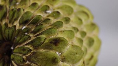 Muhallebi elması dokusunun ayrıntılı görünümü