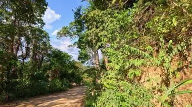 Phuket, Tayland 'da yoğun tropikal yapraklarla çevrili güneşli toprak yol boyunca sakin bir sürüş. Canlı yeşillik ve berrak gökyüzü sakin atmosferi güçlendirir.