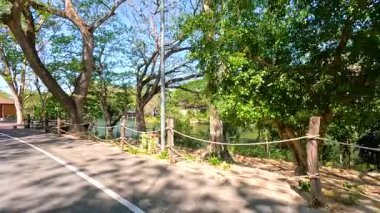 Khao Kheow Açık Hayvanat Bahçesi, Chonburi, Tayland 'da, güpegündüz yemyeşil ve dolambaçlı yollarda sakin bir yolculuk.