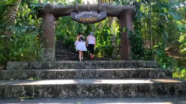 İki çocuk Chonburi, Tayland 'da yemyeşil ve benekli güneş ışığıyla çevrili olan Şempanze Sergisi' ne doğru taş basamaklara tırmanıyor.