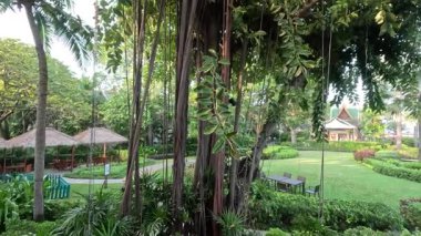 Huzurlu bahçe manzarası yavaş yavaş değişiyor.