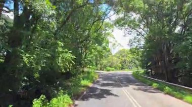 İnsansız hava aracı Mullumbimby 'nin yemyeşil yollarında canlı yeşillik ve açık gökyüzünü gösteren sakin bir sürüş yakalıyor.