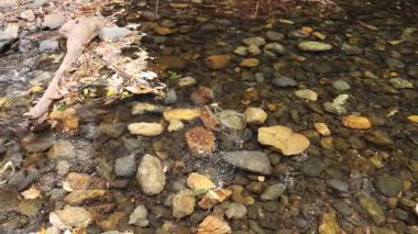 Kayalık bir dere yatağının üzerinde yürüyen biri.