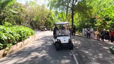 Golf arabası manzaralı hayvanat bahçesi yolundan geçiyor.