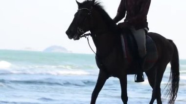 Atlı süvari okyanus kıyısında geziniyor.