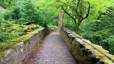 Yeşillik içinde manzaralı bir yürüyüş