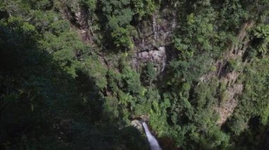 Yağmur ormanlarında çağlayan şelale.