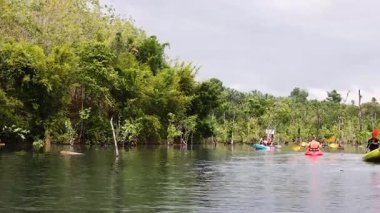 Kayakçılar Tayland 'ın Yengeç şehrinde yemyeşil kanallarda gezinirler.