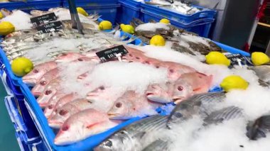 Buzda çeşitli balık ve limonlar